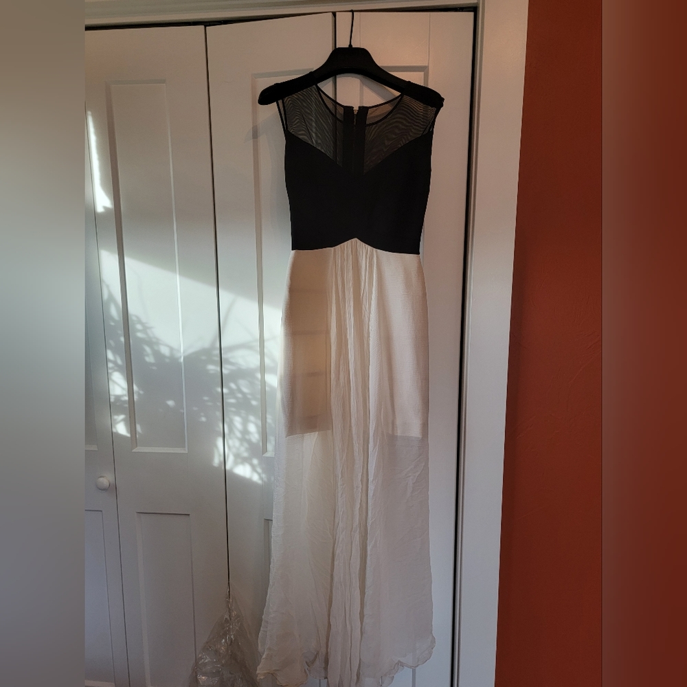 BCBGMaxAzria Bodycon with sheer overlay